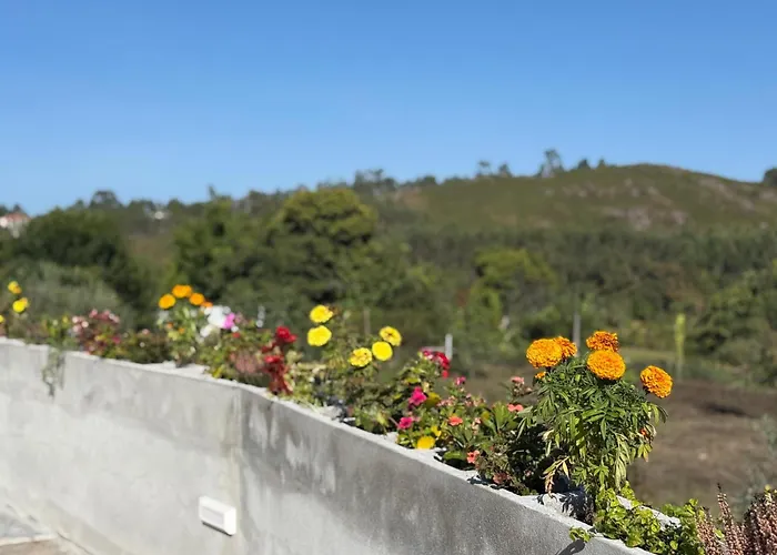 بيت ضيافة De